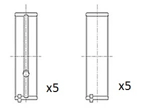 Crankshaft Bearing